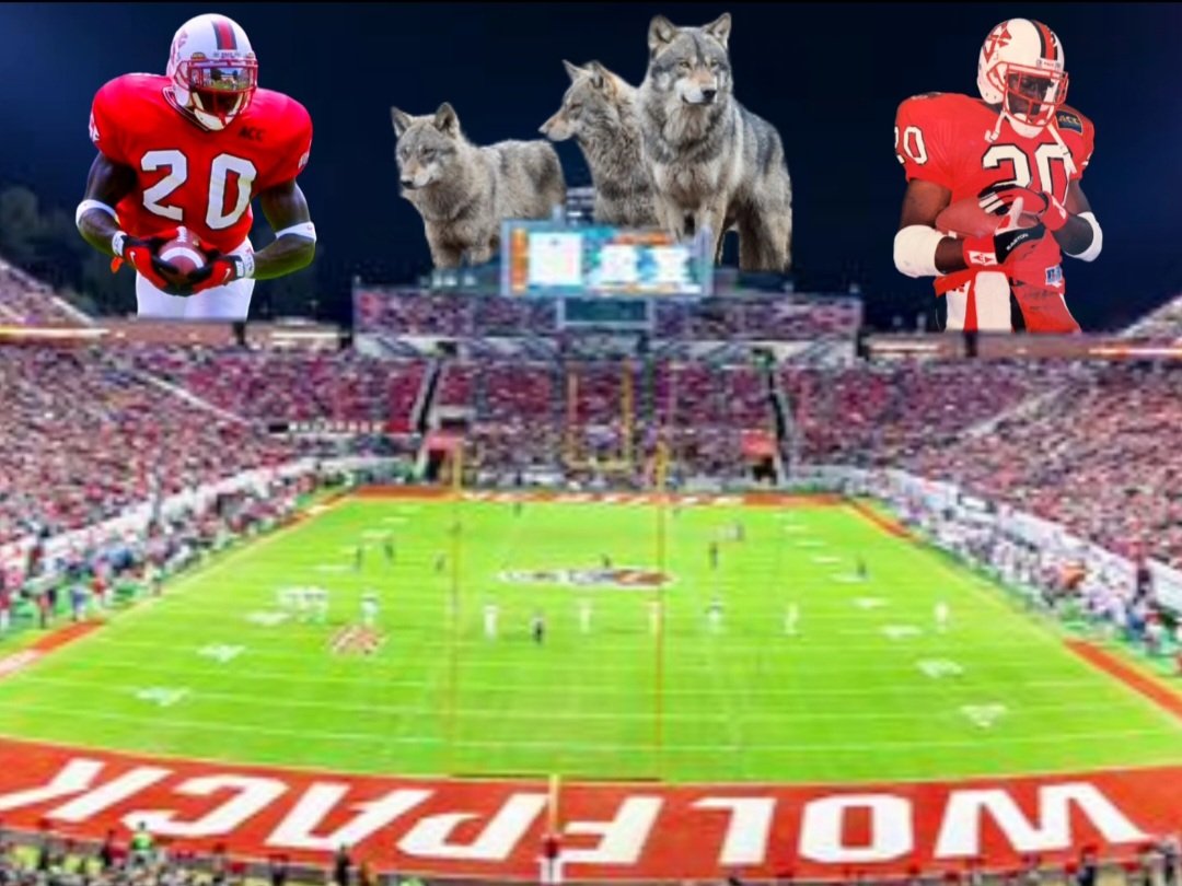 I'm running with a pack of wolves tonight!!! Who's coming with me??? #goPack 🐺