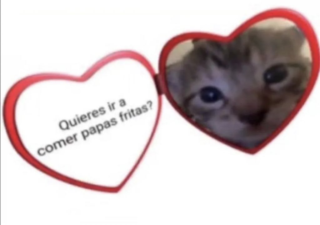 piña sin pizza (@skereunpesado) on Twitter photo 