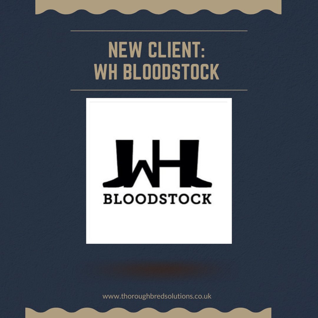Tbred_solutions's tweet photo. It has been a pleasure working with @whbloodstock who have quickly  become specialists in consigning and bloodstock preparation. We have been assisting with website support including updates with their nine black type performers including Magical Lagoon and Mammas Girl. #tbs 💫 https://t.co/m7LlvdoR42