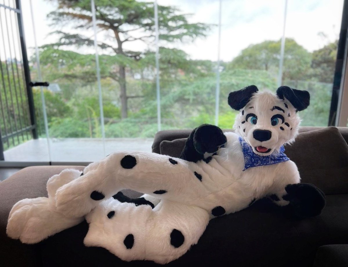 pongo pup tweet media