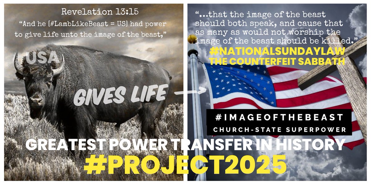 DenverUlland's tweet image. …for the sake of #EcologicalConversion.

Once everyone’s on the same page in unity (called #Fraternity), the Pope and #ChristianNationalists stateside will call for sun-worship laws #Project2025.

Sabbath-keepers know this sun-reverence law as the National Sunday Law.

But