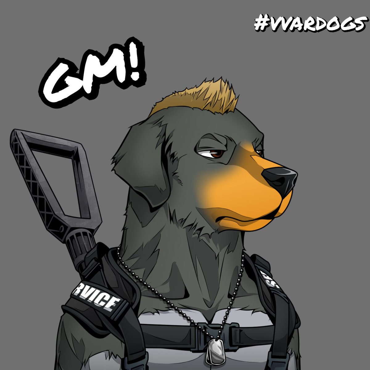 GM web3 legends!

Have a great weekend 🫡

<a href="/VVarDogsNFT/">VVAR DOGS</a> VETPETS thooon!
#BAGISLIFE