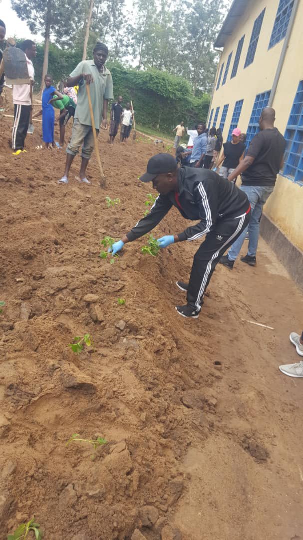 REMERA SECTOR tweet media