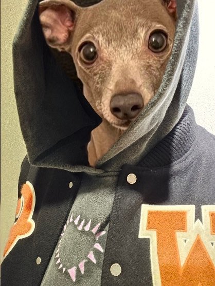 니 똥, 개쩔더라                     니 똥개, 쩔더라