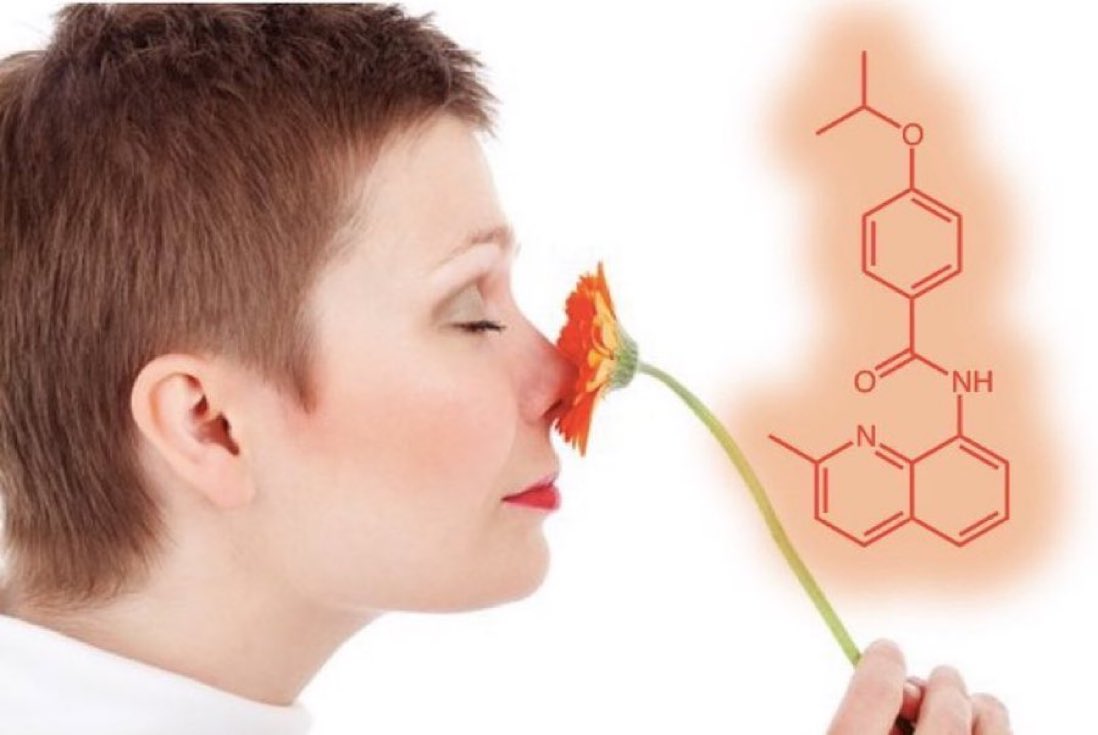 eedcAndy's tweet photo. One to remember #ShoppingReminderDay Recent work showed if we breathe through the nose rather than mouth, after trying to learn a set of smells, we remember them better; & quinoline CDN1163 may improve memory/cognition for Alzheimer's patients #itsallinthemind #thanksforthememory https://t.co/9vGMlT3quR