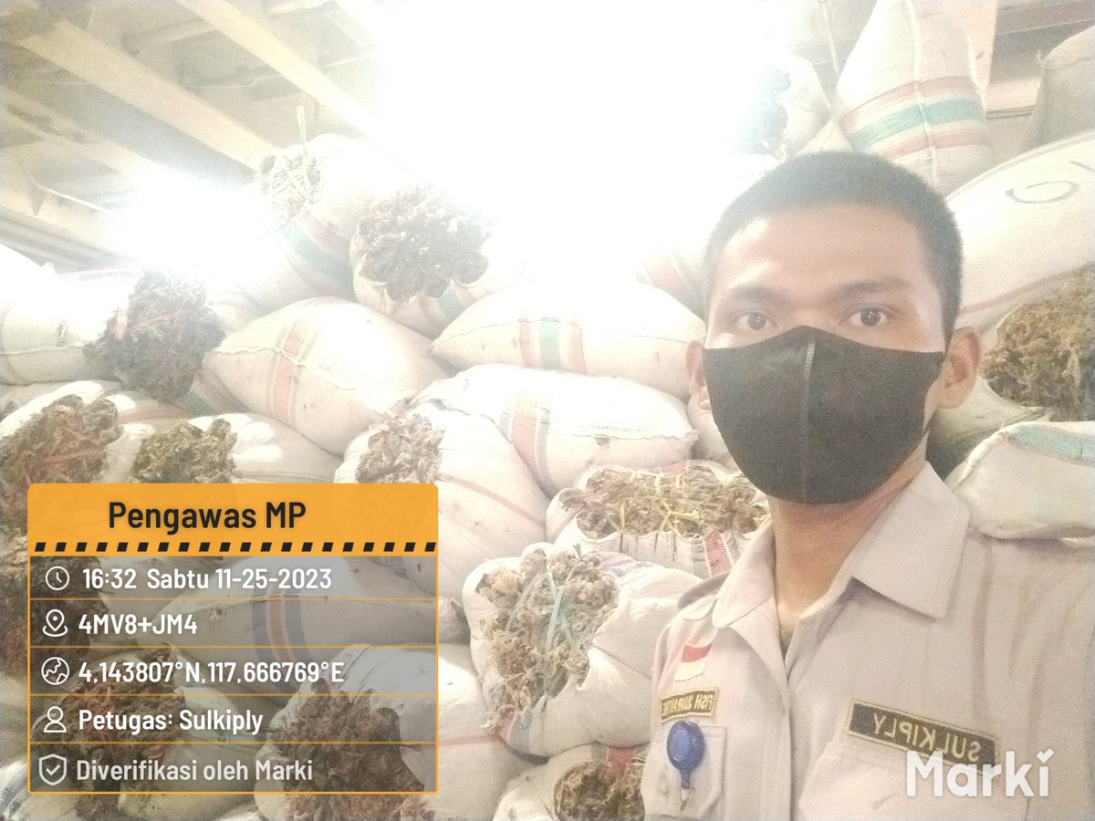 BKIPMNunukan's tweet photo. 25/11/2023
#SalamBahari
Laporan Giat Wilker Nunukan,
Pengawasan kedatangan dan keberangkatan pemuatan MP Rumput Laut Kering sebanyak 248.646 Kg/2.946 Koli tujuan Pare2 Via KM. Queen soya
@bkipm_kkp
@BKIPMTarakan
#KKPThrive https://t.co/HZB3L9QfI9