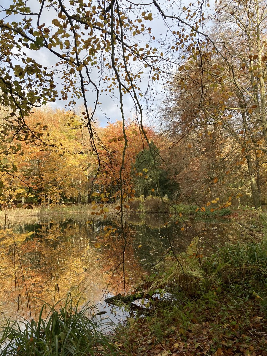 wendyfinnandmax's tweet photo. Light update: today sunrise is at 7.56 sunset at 15.49. The days don’t get much shorter now. 26 days until Winter Solstice. 23 December will be 6 seconds longer. Music: @VikingurMusic. Photo: Wallington Hall #lightupdate #measuringdaylight https://t.co/bhJyFnTn1s https://t.co/hbkRSppWbh
