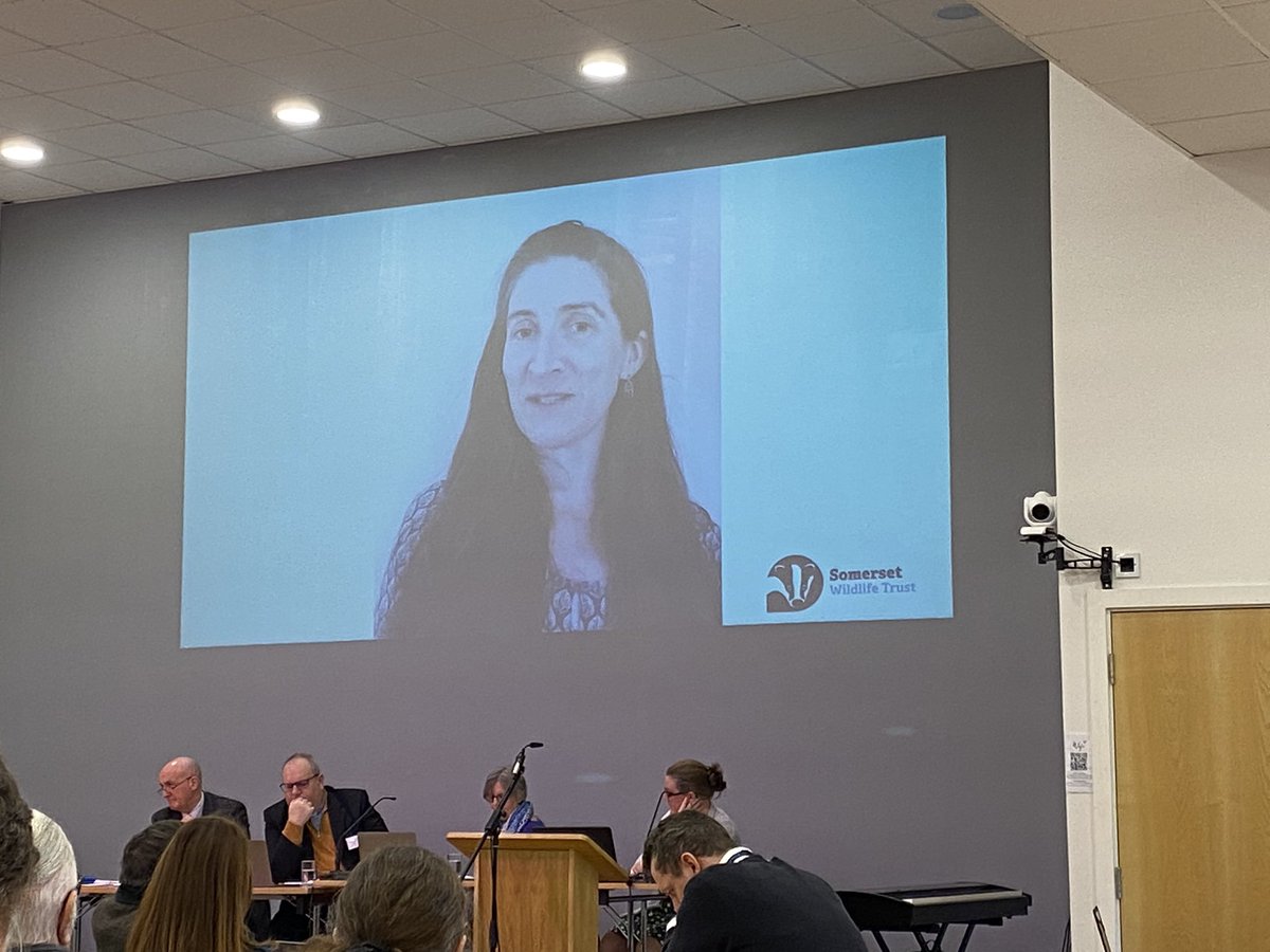 BathWells's tweet photo. Time for an update on our our 3-year action plan for #DioSynod - from our clergy housing, our schools and our partners such as @SomersetWT. From eco safeguarding hedging, clergy house eco surveys, gardening clubs and Wilder Churches. https://t.co/VckodC59IL