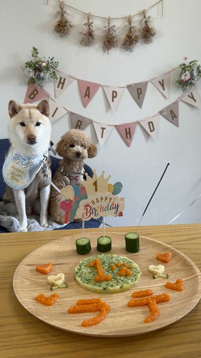 ♡お誕生日プレート♡ 【⑤あにまる(強強)】 お誕生日プレート - Search / X