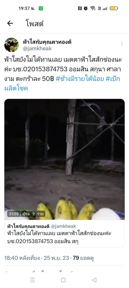 ฟ้าใสกับคุณตาทองดี tweet media