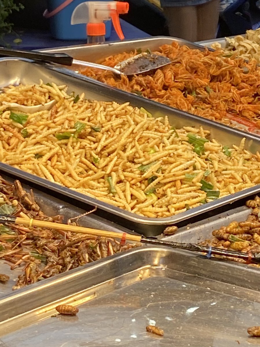 Thai insect street snacks!!