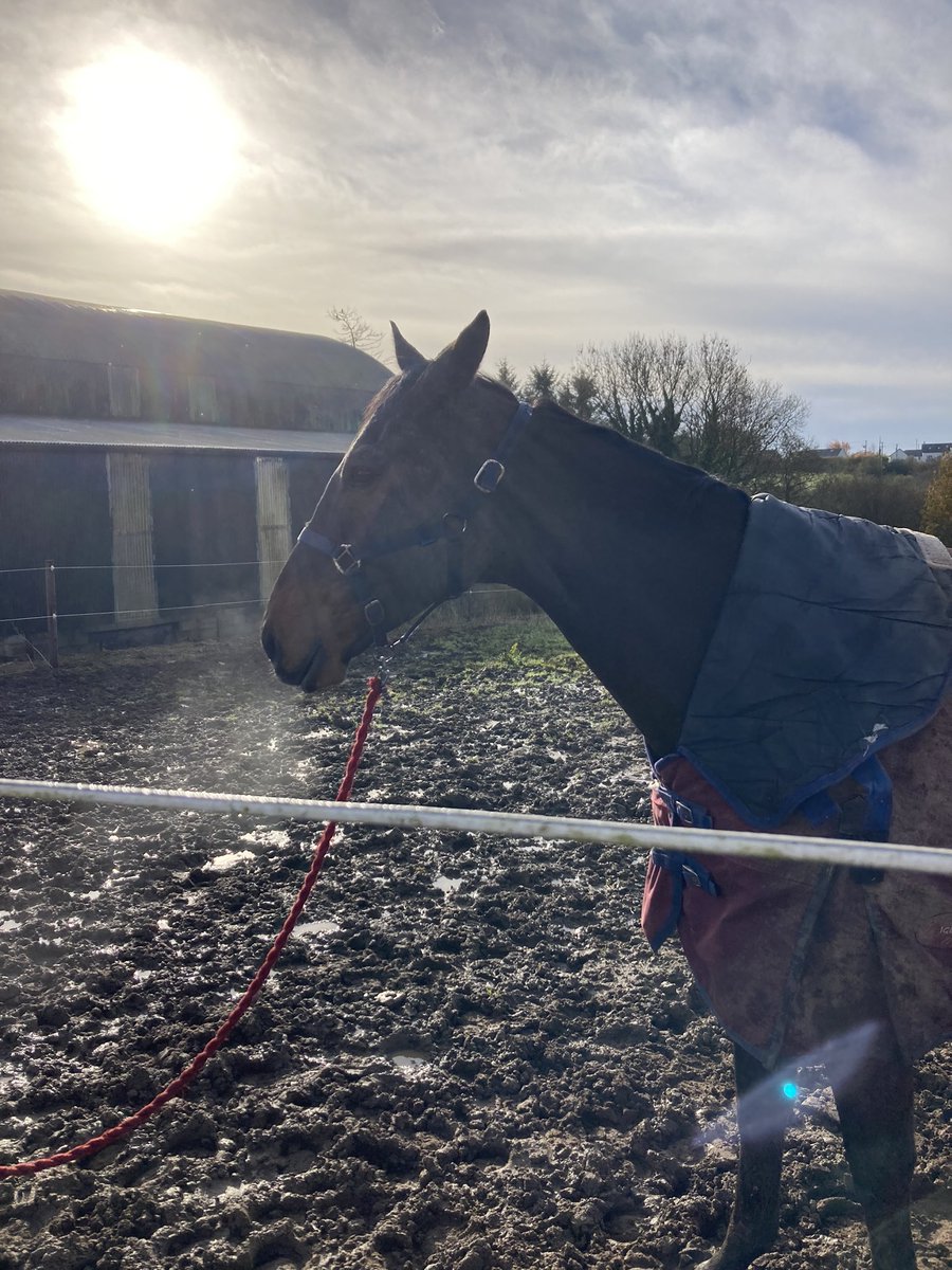 Andrew Blair White tweet media