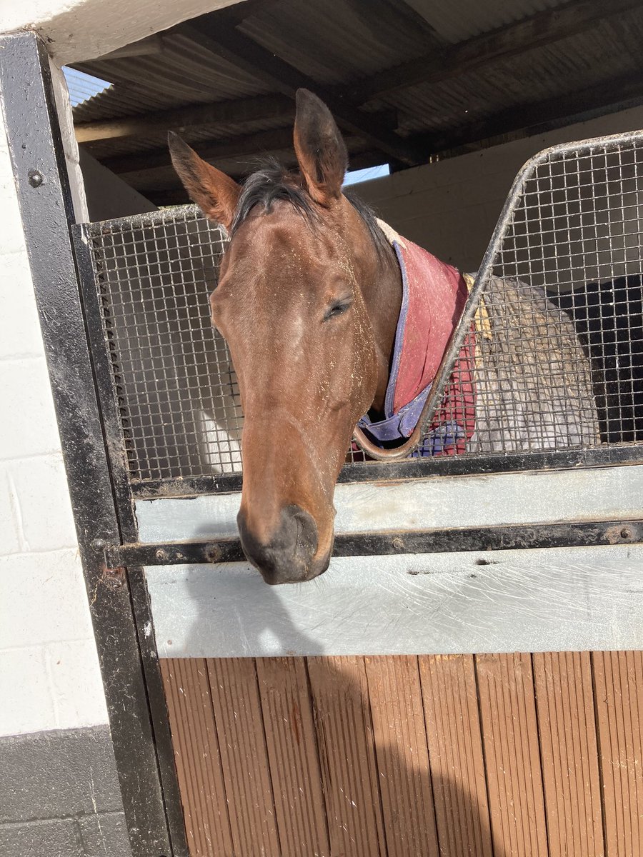 Andrew Blair White tweet media