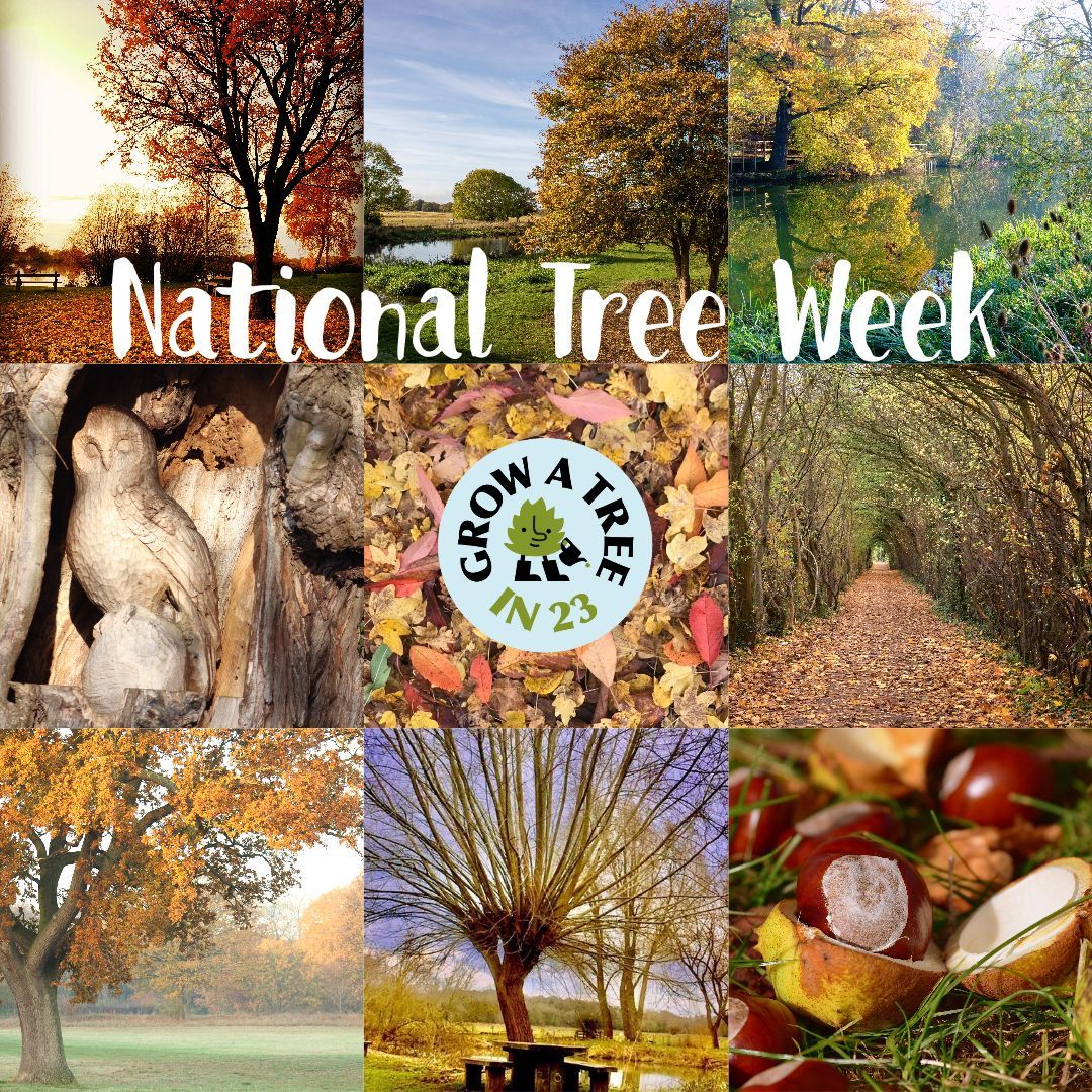 Join us in celebrating #NationalTreeWeek today! 🌳 This year is extra special as it marks 50 years since the very first National Tree Week! ⭐So so far in 2023 across Nene Park, we have planted 315 trees⭐ #LoveNenePark