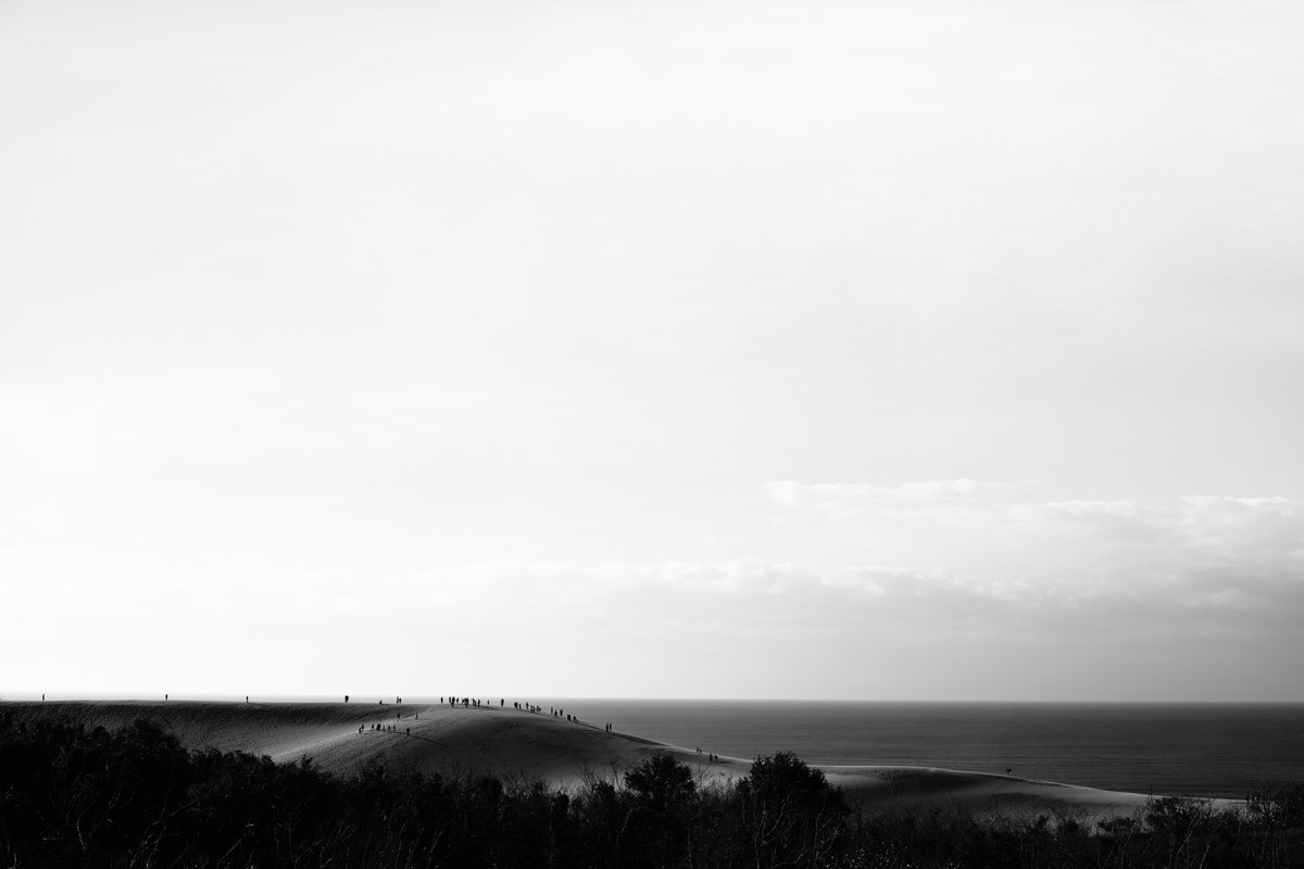 goo922's tweet photo. 砂丘.002
#キハルフォト
#photography
#blackandwhite
#sigma
#dp2merrill
#bw
#japan
#streetphotography https://t.co/xv0M8FZwBZ