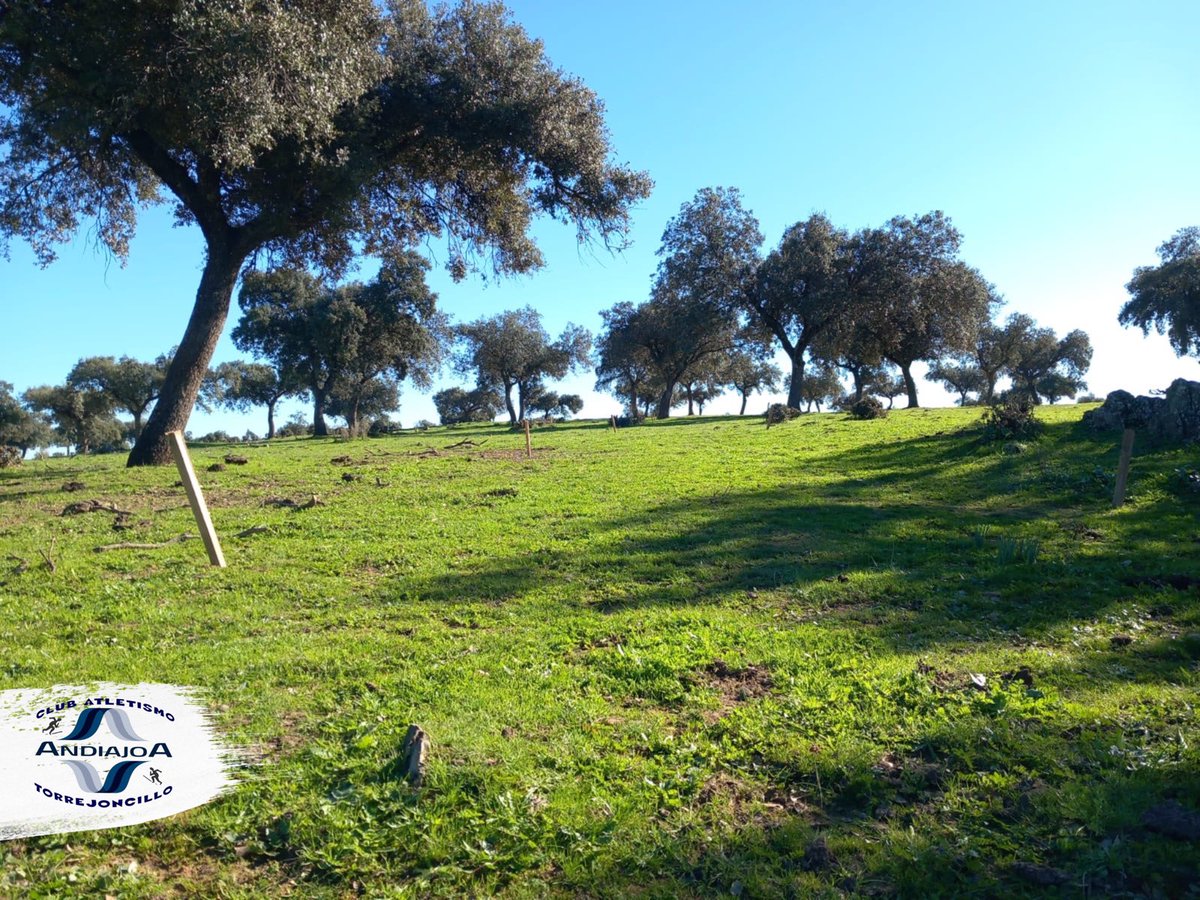 🏃‍♂️ |  𝐈𝐌Á𝐆𝐄𝐍𝐄𝐒 𝐂𝐈𝐑𝐂𝐔𝐈𝐓𝐎 𝐗𝐋𝐕 𝐂𝐑𝐎𝐒𝐒 𝐃𝐄 𝐋𝐀 𝐄𝐍𝐂𝐀𝐌𝐈𝐒Á 𝐃𝐄 𝐓𝐎𝐑𝐑𝐄𝐉𝐎𝐍𝐂𝐈𝐋𝐋𝐎

📸 A falta de 24 horas para uno de los mejores crosses Extremeño el terreno del mismo se encuentra en perfecto estado

📲 #CAAndiajoaTorrejoncillo #LaKeniaExtremeña