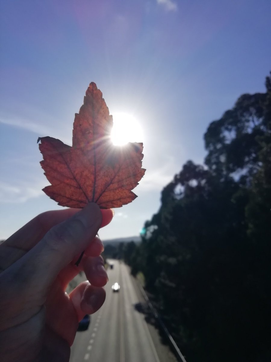 kany 🍀♐🌠 tweet media