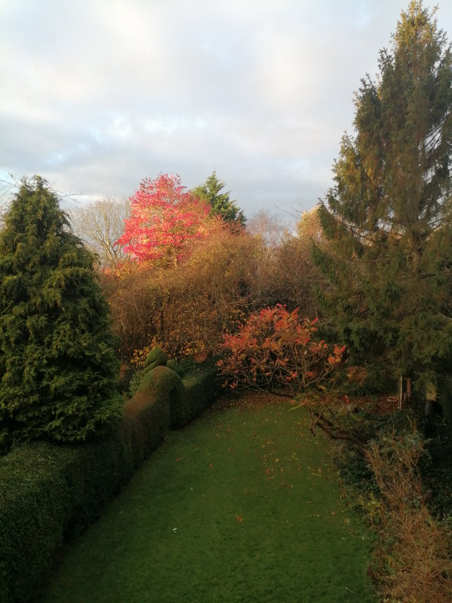 Eithne Browne tweet media