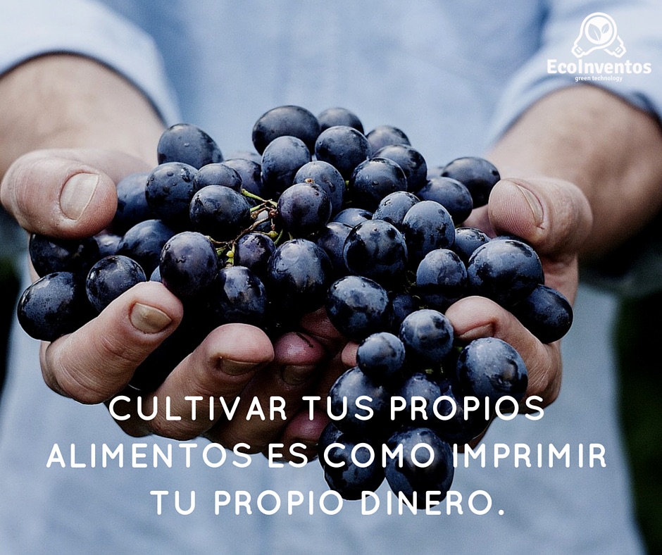 EcoInventos's tweet photo. Cultivar tu propia comida es como imprimir tu propio dinero. https://t.co/balU2C0qbP