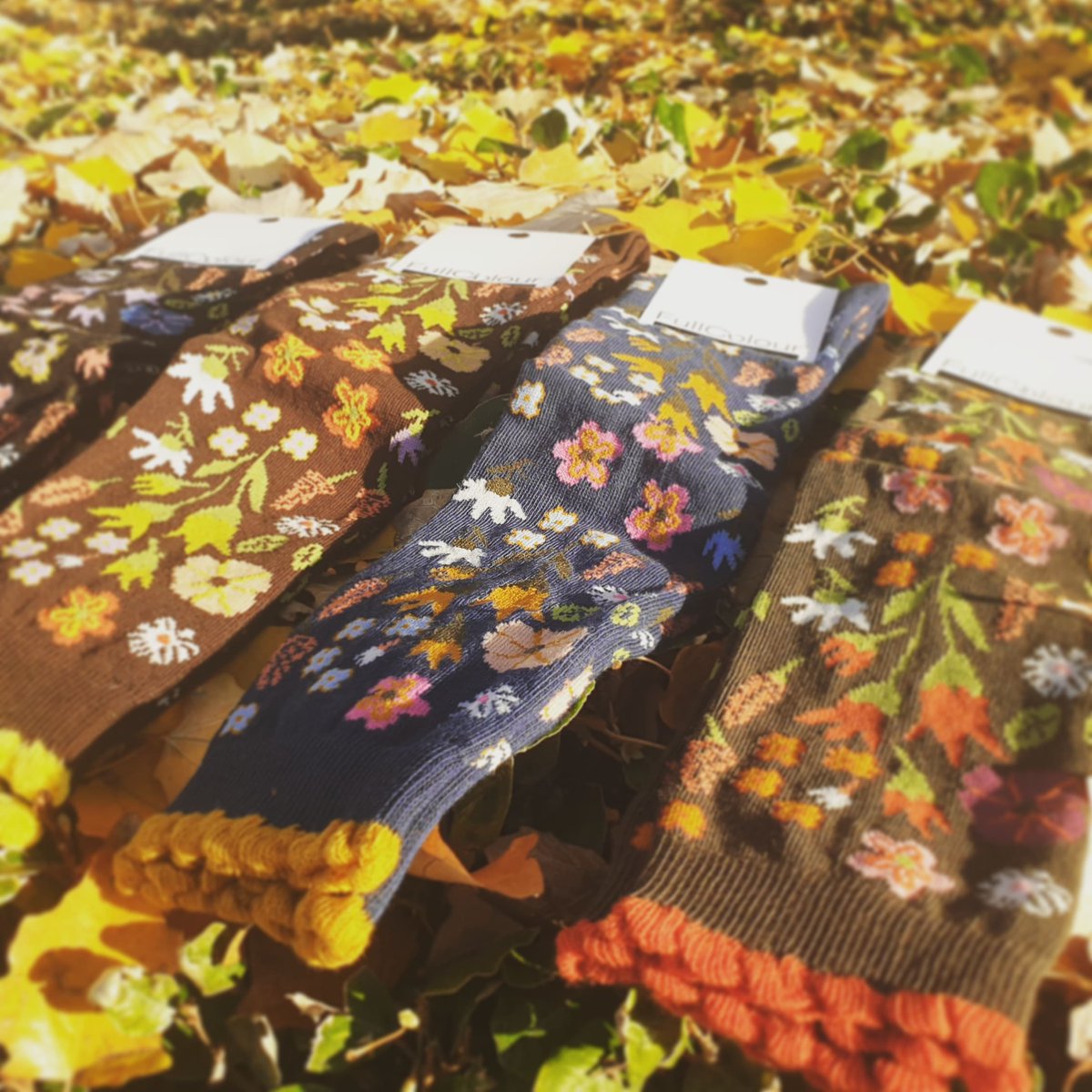 FullColourES's tweet image. Aprovecha la semana de BlackFriday para empezar a comprar tus regalos navideños con un 20% de descuento, solo
hasta el 30 de noviembre. 🖤 fullcolour.es  #BLACKFRIDAY #FullColour #socks #calcetines #pantys