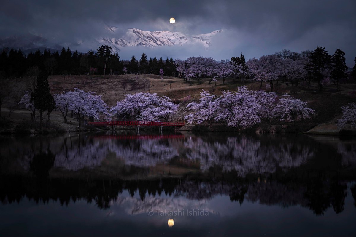 takashi5868's tweet photo. #二度と撮れない画像を貼れ
満月に合わせるかのように桜が満開に...
季節外れの寒気で遠くの山々に雪が降り...
曇り空が月の沈むタイミングで、そこだけ雲が切れた...

#いいニコンの日
#私とニコンで見た世界
#Nikon #tokyocameraclub https://t.co/ZKxOmt9PAI