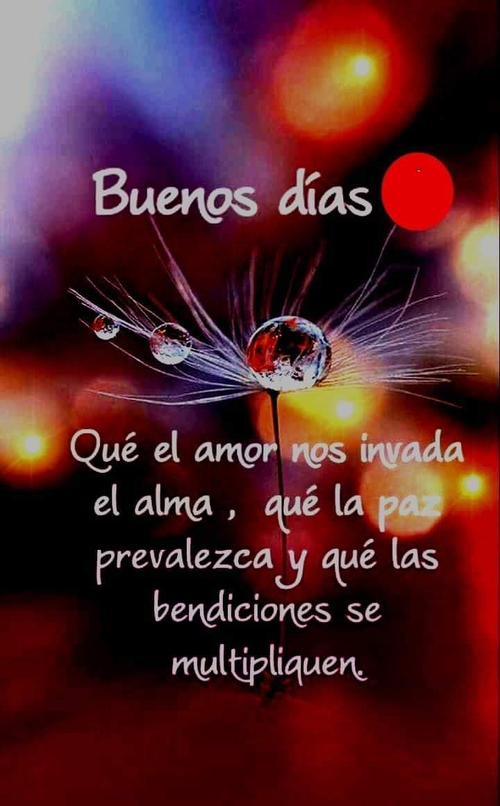 VidaEquilibrada (@vidaequilibrad4) on Twitter photo 