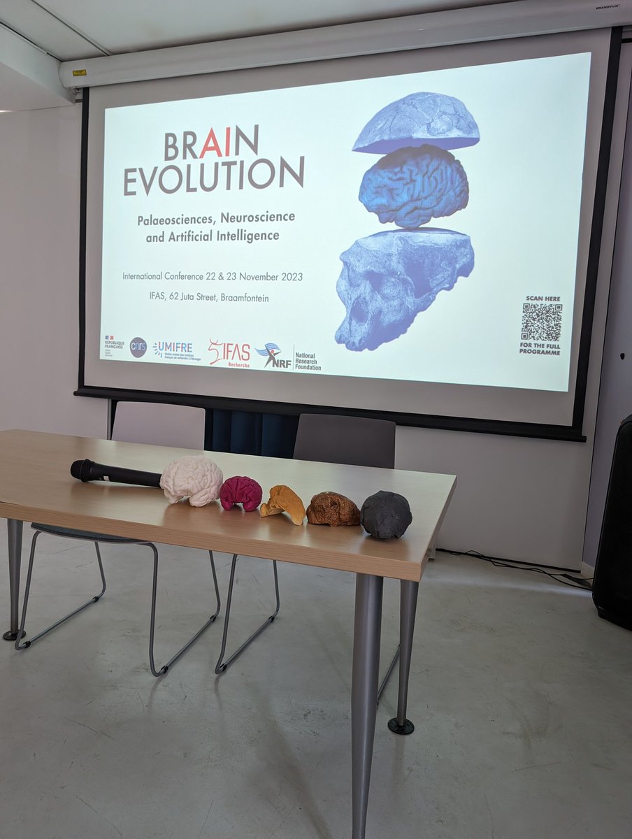 I am extremely grateful to my co-organisers @UT3PaulSabatier @IFAS_Research, and to the speakers and the delegates from the @FrenchEmbassyZA @NRF_News @WitsUniversity and @CNRSinSthAfrica for their contribution and support to the #BrAInEvolution conference. We'll share more soon!