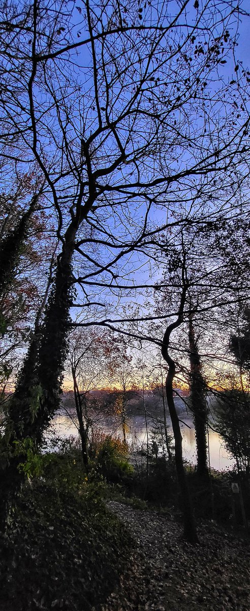 Val_BB's tweet image. So my morning so far has included a visit to #CrimeLake (-5) as sky looked amazing, a visit to Robertinson&apos;s Bakery (😋) &amp;amp; then a 50-minute swim (🏊‍♂️)... home &amp;amp; then off to a Greater Manchester Long Covid Support meeting at #GortonLibrary @MancLibraries 
Great free room hire 👌