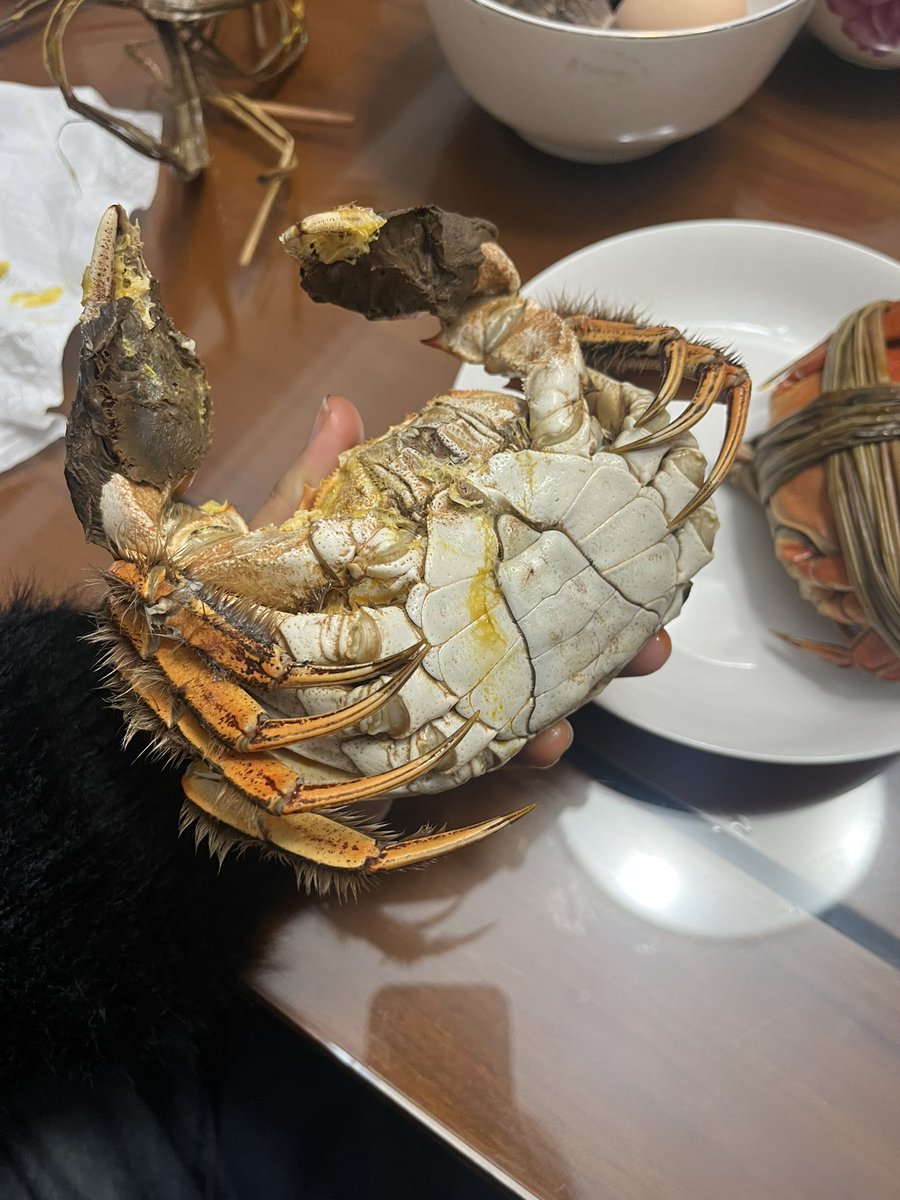 SatelyW's tweet photo. 一���一个（bushi https://t.co/7oBHrU8OEb