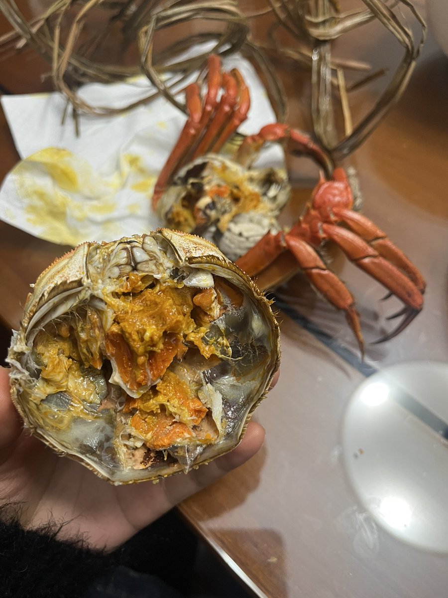 SatelyW's tweet photo. 一���一个（bushi https://t.co/7oBHrU8OEb