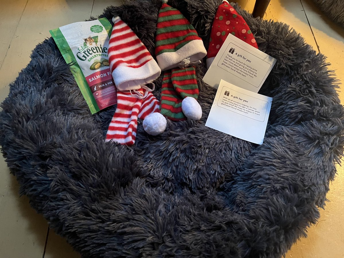 Mediumceltic's tweet photo. @amazon Lincoln aka Link was so suRRprised when he went to inspect the #mail &amp; found these #treats and gifts! He's loving his new #cozy bed and #xmas scarf! You made his day! Thank you! #CatsOfTwitter #Linkthecat ♥️♥️🐱🐱🎅🏻 https://t.co/dPl82aJZhE