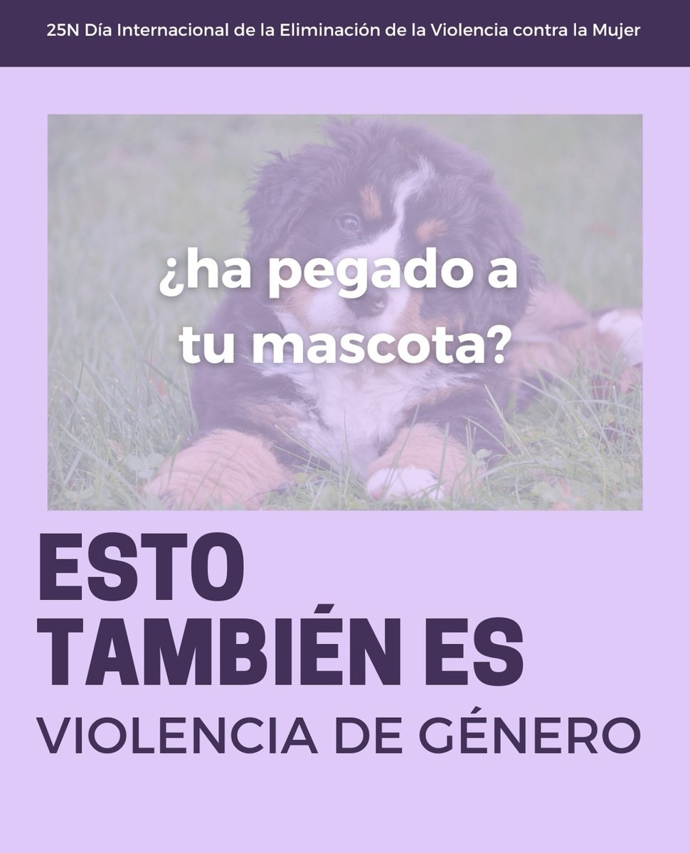 Escuela Judicial (@esc_judicial) on Twitter photo Las #juezas y #jueces reciben en <a href="/Esc_Judicial/">Escuela Judicial</a> #formación específica para responder a la #ViolenciaMachista en los #juzgados. La #perspectivadegénero es transversal y permanente para habilitar ante las #violencias sobre la #mujer #DiaContralaViolenciadeGenero <a href="/PoderJudicialEs/">Poder Judicial</a> Las #juezas y #jueces reciben en <a href="/Esc_Judicial/">Escuela Judicial</a> #formación específica para responder a la #ViolenciaMachista en los #juzgados. La #perspectivadegénero es transversal y permanente para habilitar ante las #violencias sobre la #mujer #DiaContralaViolenciadeGenero <a href="/PoderJudicialEs/">Poder Judicial</a>
