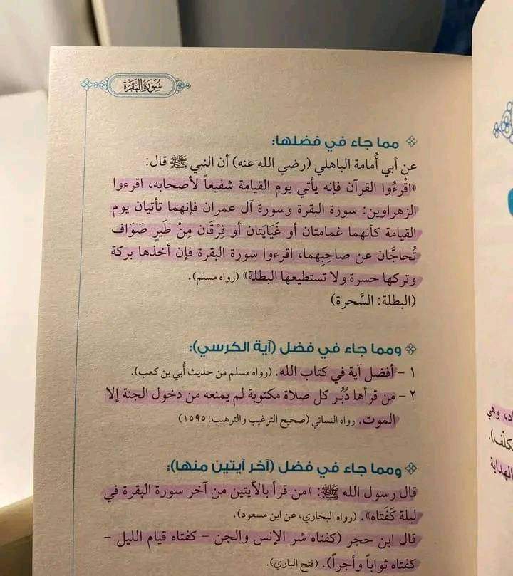 Mu2hka's tweet photo. #صباح_الخيرᅠ #غزة_انتصرت https://t.co/rrbcKGHNUB