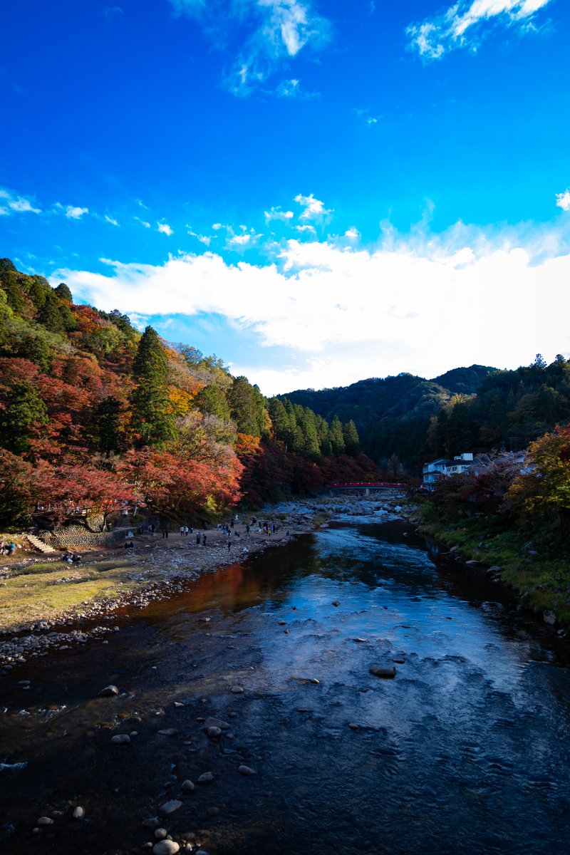 le3d_cg's tweet photo. 愛知旅行。香嵐渓と名古屋城へ～💪 https://t.co/iDL1qbSWBz