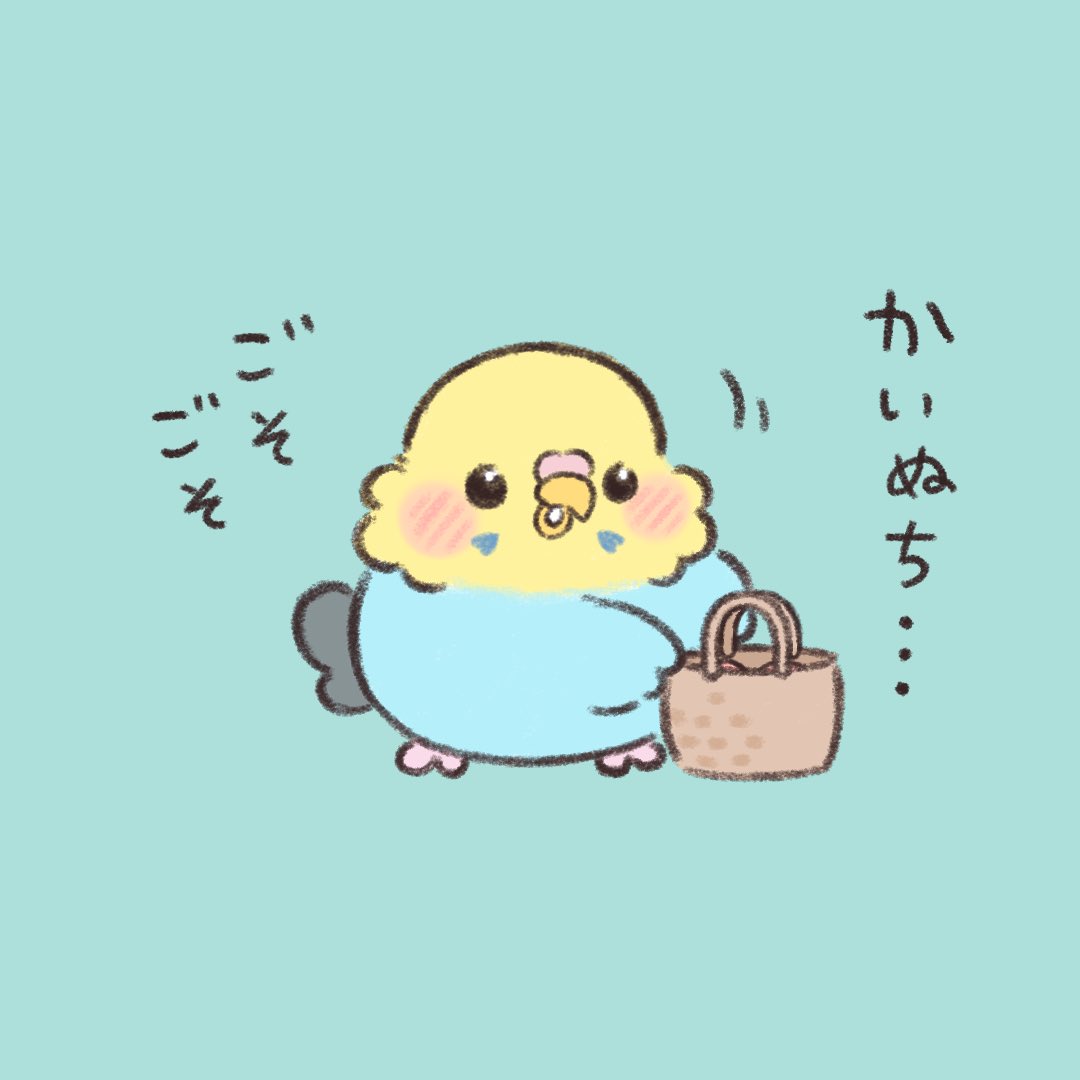 かいぬち…  #セキセイインコ