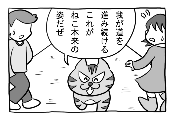 ねこまんがかいてみた330「距離感」  #ねこ #ネコ #猫 #白猫 #黒猫 #猫漫画 #4コマ #4コマ漫画 #四コマ漫画 #マンガ #漫画 #野良猫 #お出かけ #外出 #道 #漫画が読めるハッシュタグ