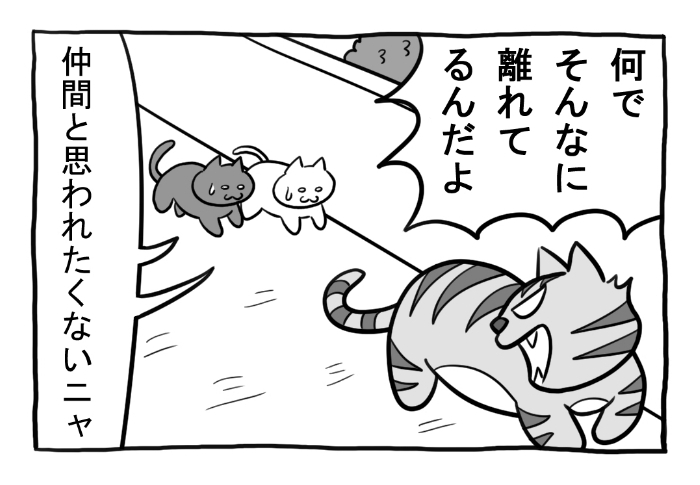 ねこまんがかいてみた330「距離感」  #ねこ #ネコ #猫 #白猫 #黒猫 #猫漫画 #4コマ #4コマ漫画 #四コマ漫画 #マンガ #漫画 #野良猫 #お出かけ #外出 #道 #漫画が読めるハッシュタグ