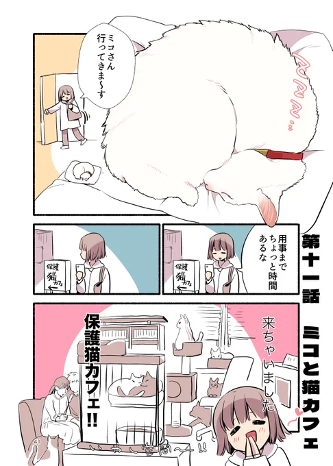 飼い猫がいるのに"浮気"しちゃった話(1/2) #漫画が読めるハッシュタグ #愛されたがりの白猫ミコさん