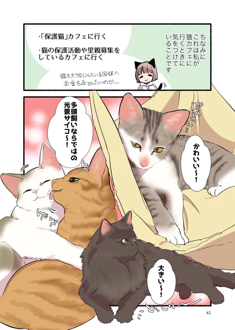 飼い猫がいるのに"浮気"しちゃった話(2/2) #漫画が読めるハッシュタグ #愛されたがりの白猫ミコさん