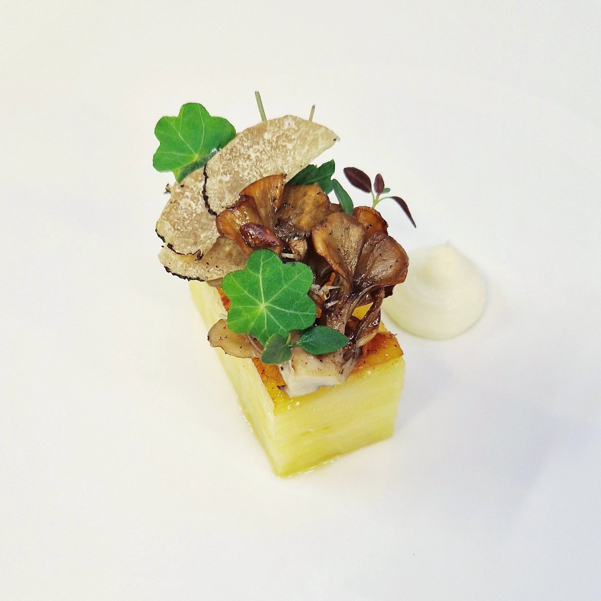 Maris piper / hen of the woods / baron bigod / truffle Slow cooked layered maris piper, pressed overnight & finished in beurre noisette. Roasted hen of the woods, whipped baron bigod & shaved black truffle. • #passionate #chefs #chef #brigade #ingredients #foodie #pommedeterre