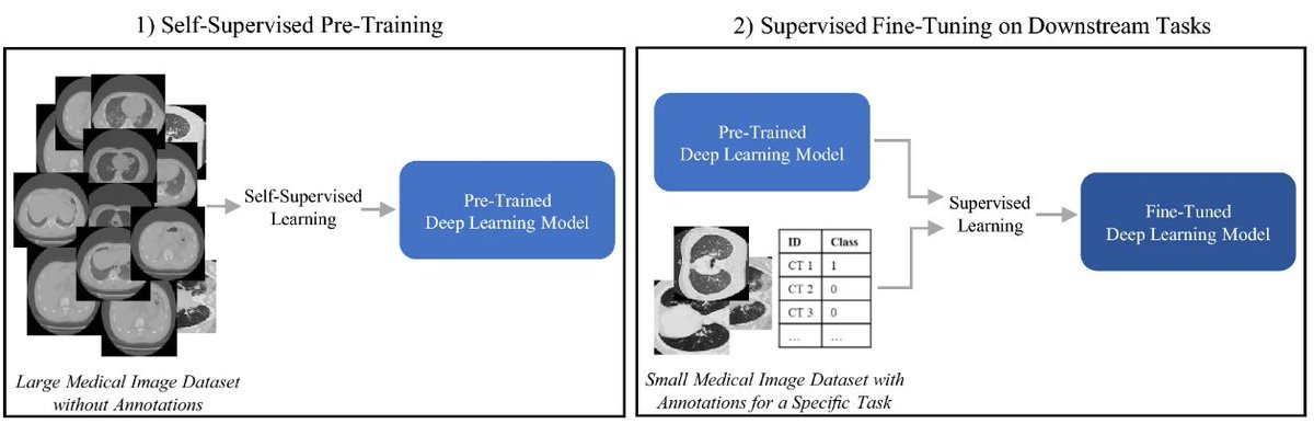 Our latest research on self-supervised pre-training for deep learning in medical imaging has just been published in Nature Scientific Reports.

📰Nature Doi: doi.org/10.1038/s41598…

🖥️Code, Pre-Trained Models, and Short Explanations: github.com/Wolfda95/SSL-M…

#AI #DeepLearning