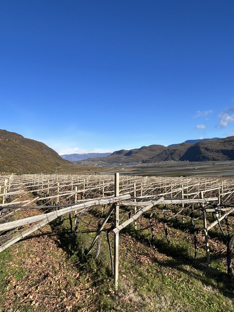 DemanegaMichael's tweet image. Die ruhigen Wege, derzeit noch #kaltern