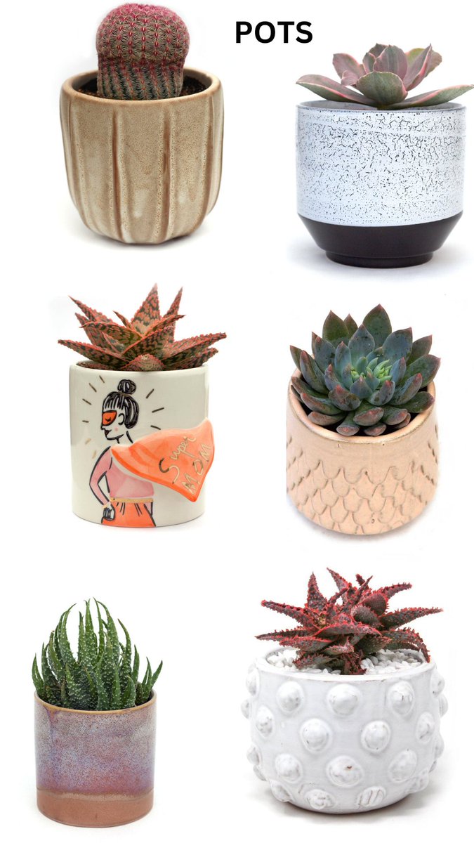 BEST POTS IN VARIOUS SIZES. You can get them here
                   👇🏻
leafandclay.co/?rfsn=7742798.…

#GardenPots #PotPlanting #PlantPots #PottedGarden #CeramicPots #TerracottaPots
#HangingPots #IndoorPots
#OutdoorPlanters #FlowerPots
#HerbPots #ContainerGardening #SucculentPots