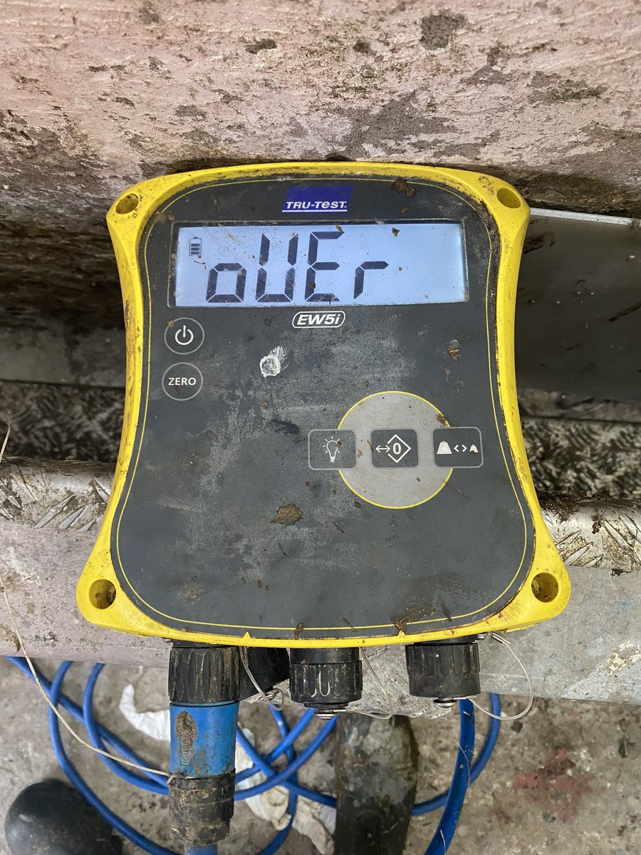 Conor Whelan tweet media