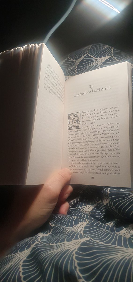 THGabrielAuteur's tweet photo. Iorek dans La croisée des mondes. Au chap 20, c'est un peut Guts de Berserk ! https://t.co/svB4pY7CtI