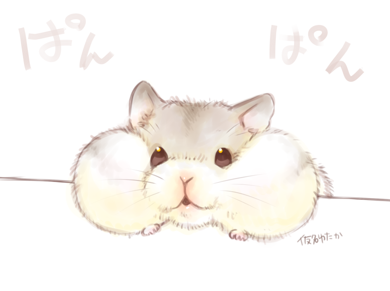 「口描きたいなぁと思ったら頬袋になってた 」|仮名ゆたか@コミティアP46aのイラスト