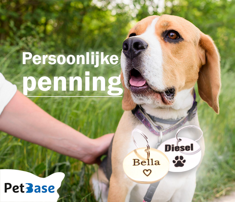 PetBase's tweet image. Een persoonlijke penning, speciaal voor jouw huisdier. Bekijk alles op onze website:
petbase.eu/penning/

#huisdieren #dieren #persoonlijk