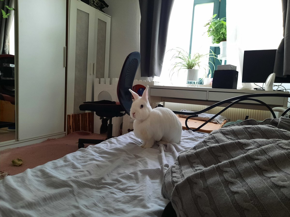 Freundliche Erinnerung, dass man mich im Himmel unter Nachobabe findet. Hab auch noch Codes.