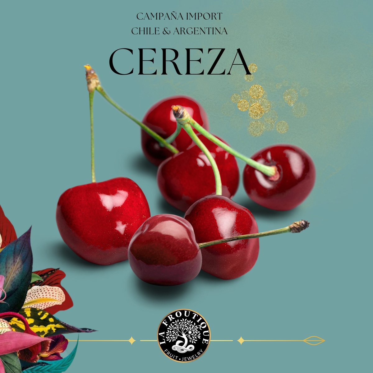 Comenzamos la campaña de Import con tres productazos … Mango Kent, Uva de Perú y Cereza de Chile y Argentina 
.
Incomparables, rompen con todas las expectativas de sabor … y por eso han entrado directamente al N•1 de nuestra lista de HITS de La Froutique
ALBERTO