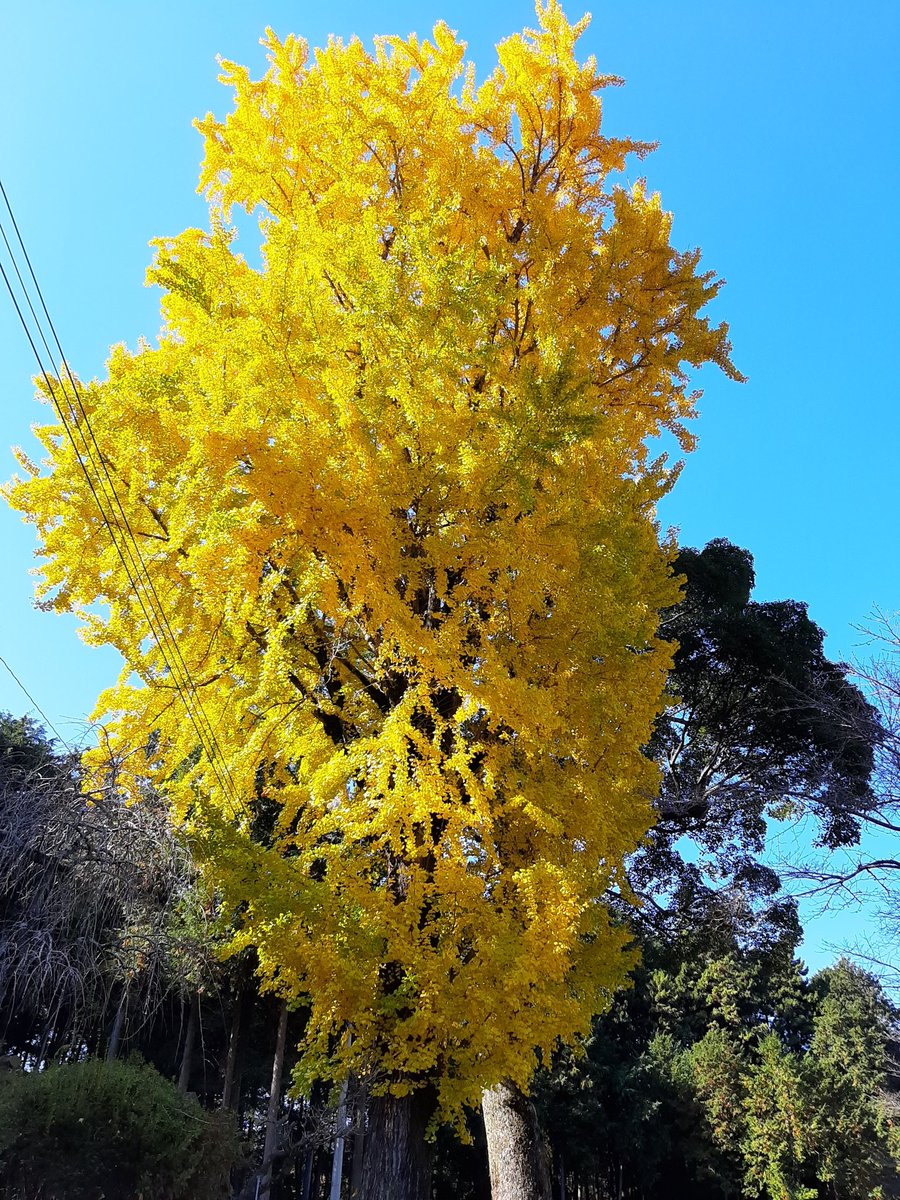 身体が心底冷えてますので温泉入って帰ります♨️